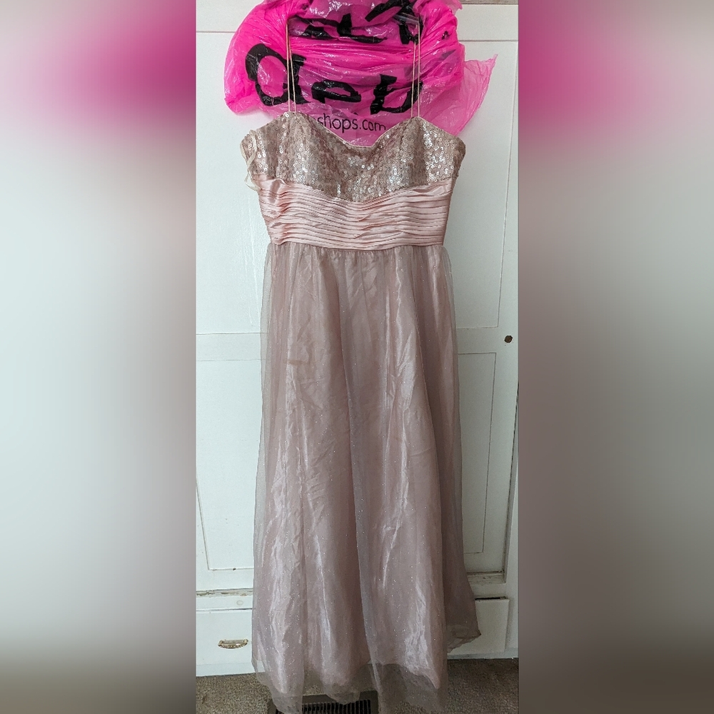 DEB size 16W Prom Dress